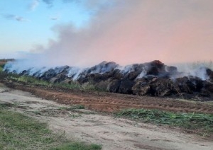 В Барановичском районе поджигатель пойман с поличным