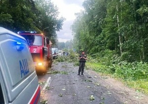 В Минском районе в результате урагана погибла девушка