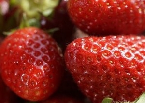 Житель Брестской области под предлогом продажи клубники и ранней капусты похитил более 24 тыс. рублей