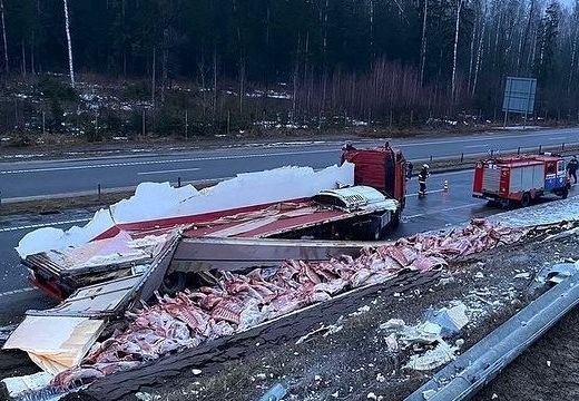 На трассе под Бобруйском перевернулась фура с говяжьими тушами, которые вылетели на дорогу