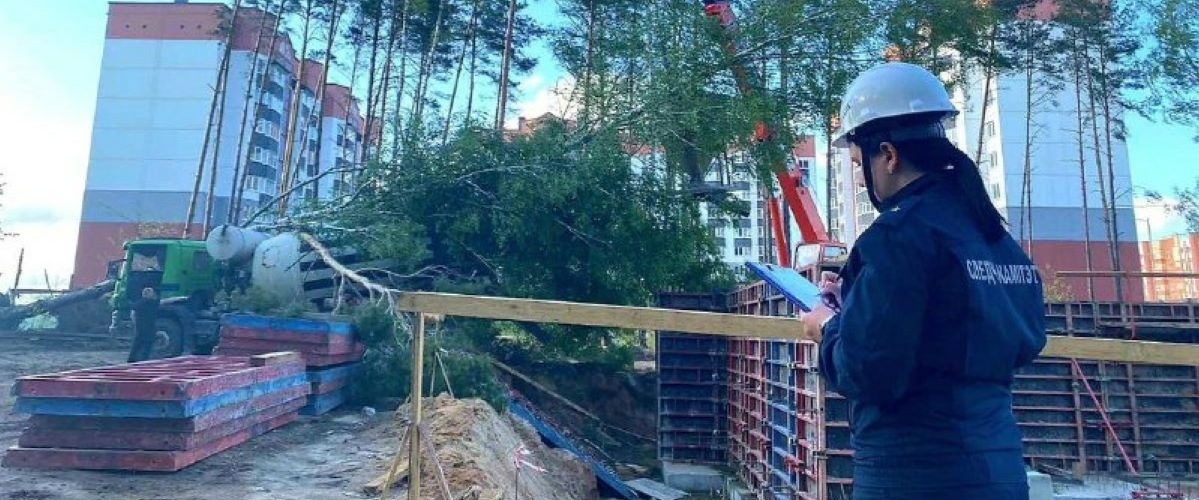 В Солигорске погиб рабочий, на него упало дерево