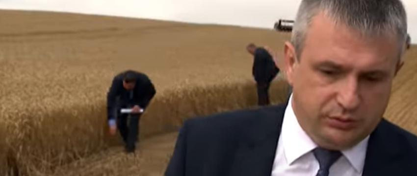 Перед прилетом Лукашенко с колосками на поле произвели странные манипуляции