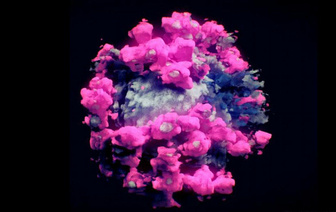 Как выглядит реальный коронавирус? Первое 3D-фото COVID-19