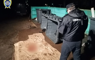 В Барановичах в мусорном контейнере нашли расчлененное тело женщины