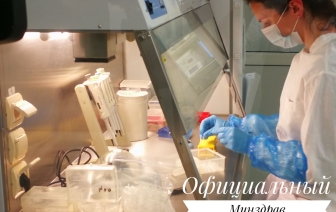Сколько в Беларуси заболевших и умерших от COVID-19 на 17 марта