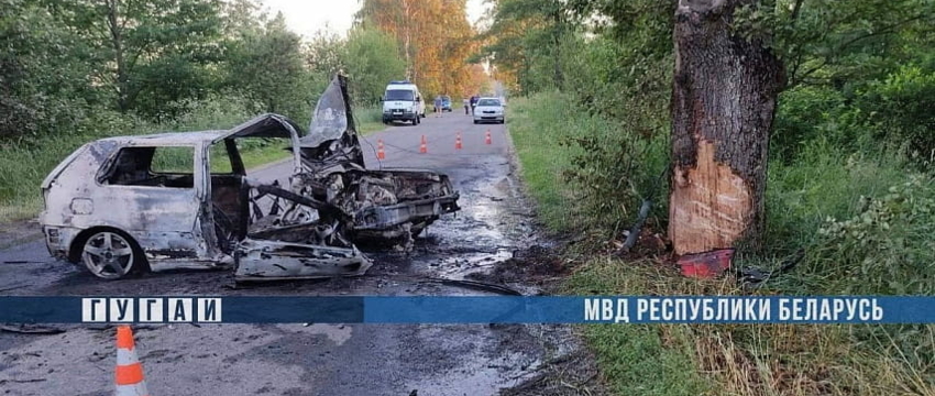В Калинковичском районе легковушка вылетела с дороги и врезалась в дерево — погибла 20-летняя девушка 