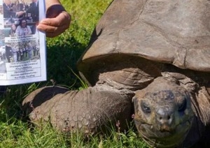 Самому старому животному на планете исполнился 191 год