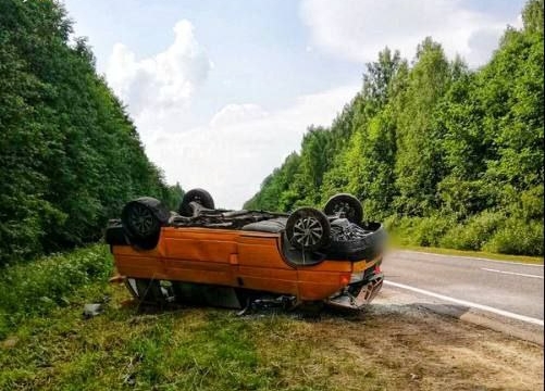 Страшная авария в Шумилино: микроавтобус врезался в лося – погибли 2 человека, 5 попали в больницу 