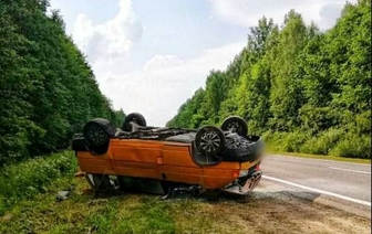 Страшная авария в Шумилино: микроавтобус врезался в лося – погибли 2 человека, 5 попали в больницу 