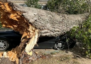 Смотрите, что натворила непогода на Брестчине