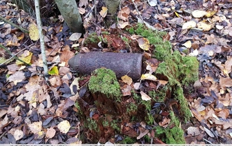 В Ляховичском районе мужчина нашел в лесу снаряд времен ВОВ