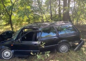 В Столинском районе автомобиль врезался в дерево