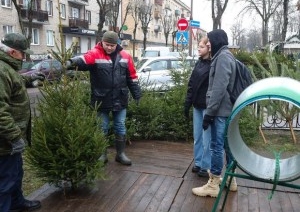 В Бресте заработали елочные базары