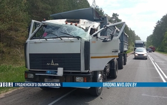 Страшная авария в Волковысском районе – легковушка протаранила лося 