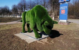 Необычный подарок к 150-летию города. В Барановичах появилась красивая скульптура зубра