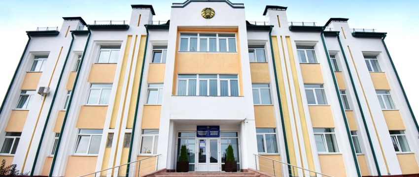 Жительницу Барановичей осудили за оскорбление милиционера