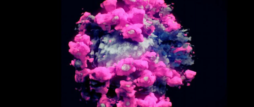 Как выглядит реальный коронавирус? Первое 3D-фото COVID-19