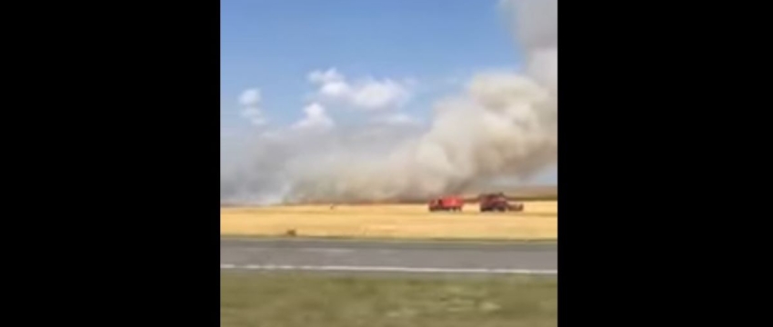 Под Барановичами горело ячменное поле. Видео
