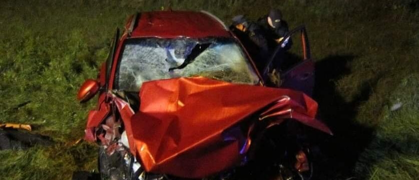 В Минском районе Kia сбила лося, вылетела на встречку и врезалась в Peugeot – погибли три человека