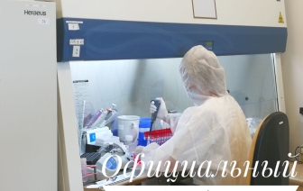 Сколько в Беларуси заболевших и умерших от COVID-19 на 29 марта