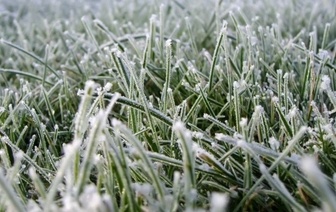 Спасайте огород! Синоптики предупредили белорусов о заморозках. А где и когда температура подскочит до +26°С?