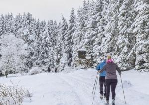 Запасы снега, катки и лыжные трассы. Как организуют зимний сезон для жителей Брестской области