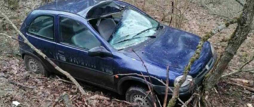 Возле Барановичей легковой автомобиль врезался в лося и вылетел в кювет