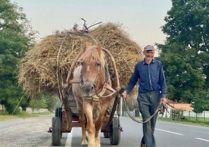 Ученые раскрыли секрет долгой и счастливой жизни – вы не поверите