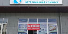 Ветеринарная клиника "Айболит" на Домейко