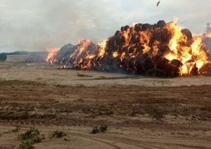 В Ивановском районе горели скирды соломы