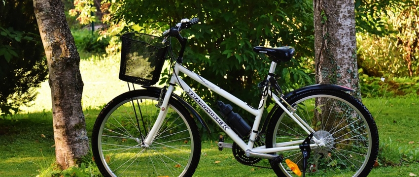 В Барановичах разработана концепция велосипедного движения. Схема