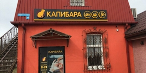 Доставка суши и пиццы "KAPIBARA"