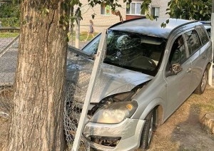 В Бресте пьяный водитель снес забор и врезался в дерево