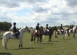 В Бресте состоялся открытый Чемпионат Брестской области по конному спорту