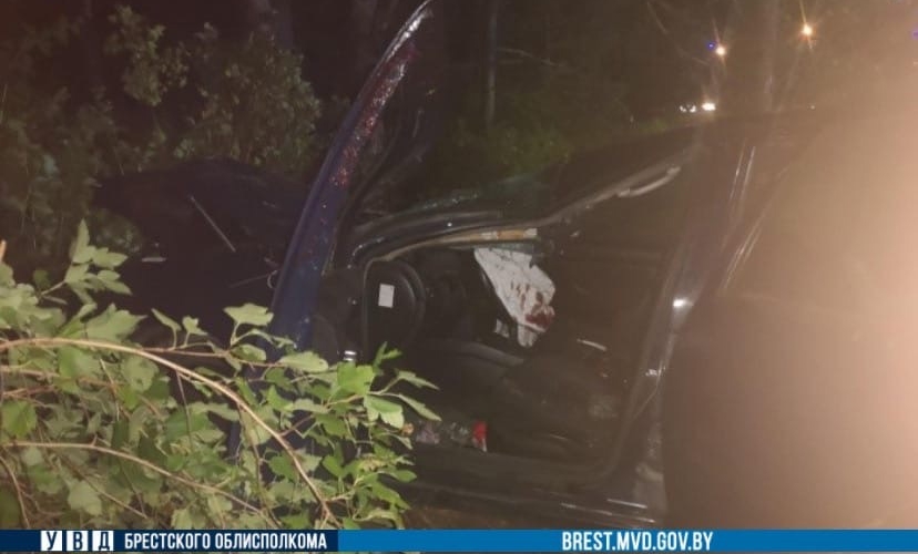 Жуткая авария в Барановичском районе: легковушка влетела в коня на трассе – погиб один человек