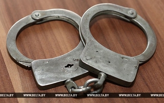 Жителя Барановичей осудили за оскорбление сотрудников милиции