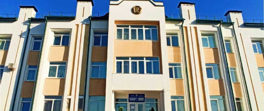 Жительницу Барановичей осудили за оскорбление сотрудника органов внутренних дел