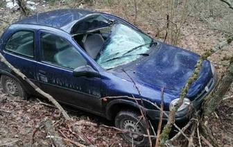 Возле Барановичей легковой автомобиль врезался в лося и вылетел в кювет