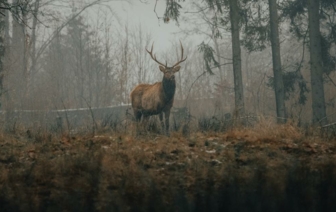 Перепады температуры и ветер