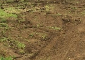 В Бресте участок для застройки по ул. Пастернацкого выкупили за рекордную сумму