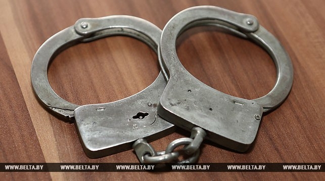 Жителя Барановичей осудили за оскорбление сотрудников милиции