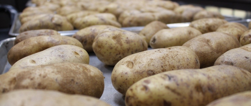 На 18,7% — Беларусь вошла в число лидеров по росту цен на сельхозпродукцию в ЕАЭС