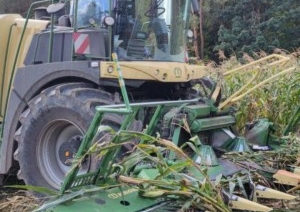 В Столбцовском районе пенсионер собирал кукурузу и попал под комбайн