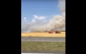 Под Барановичами горело ячменное поле. Видео