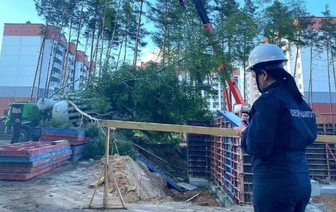 В Солигорске погиб рабочий, на него упало дерево