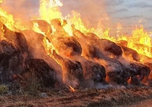 Житель Брестской области из мести сжег 127 тонн соломы двух сельхозпредприятий