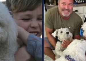 Пропавшая собака воссоединилась с семьей спустя 12 лет. Как нашли пса?