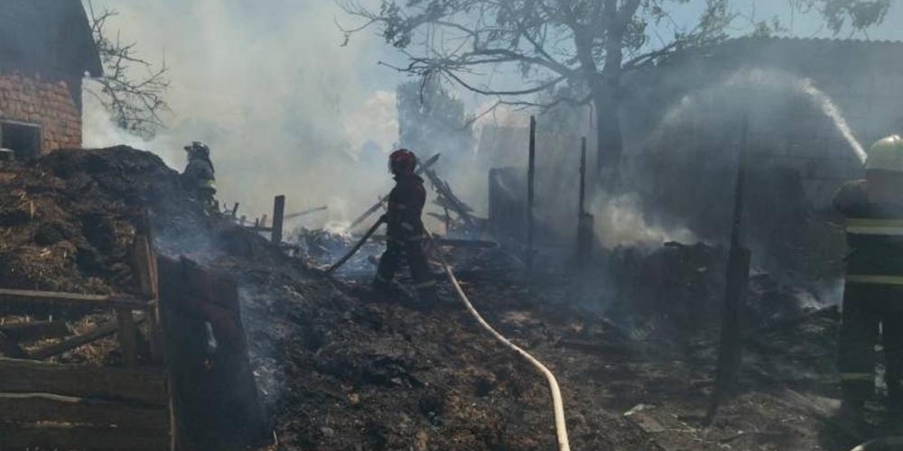 Тракторист спас 8-летнюю девочку на пожаре в Рогачевском районе 