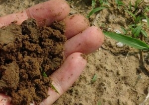 Около аккумуляторного завода взяли пробы воды, почвы и воздуха. Какие результаты?