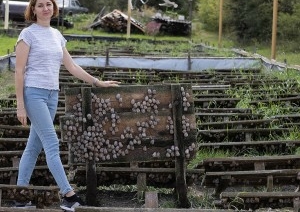 В нескольких километрах от Бреста семья сделала бизнес на выращивании улиток. Выгодным ли оказалось дело?